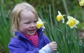 Photo of child picking daffodils